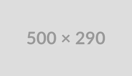 Dynamic placeholders feature