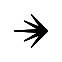 LaunchDarkly icon